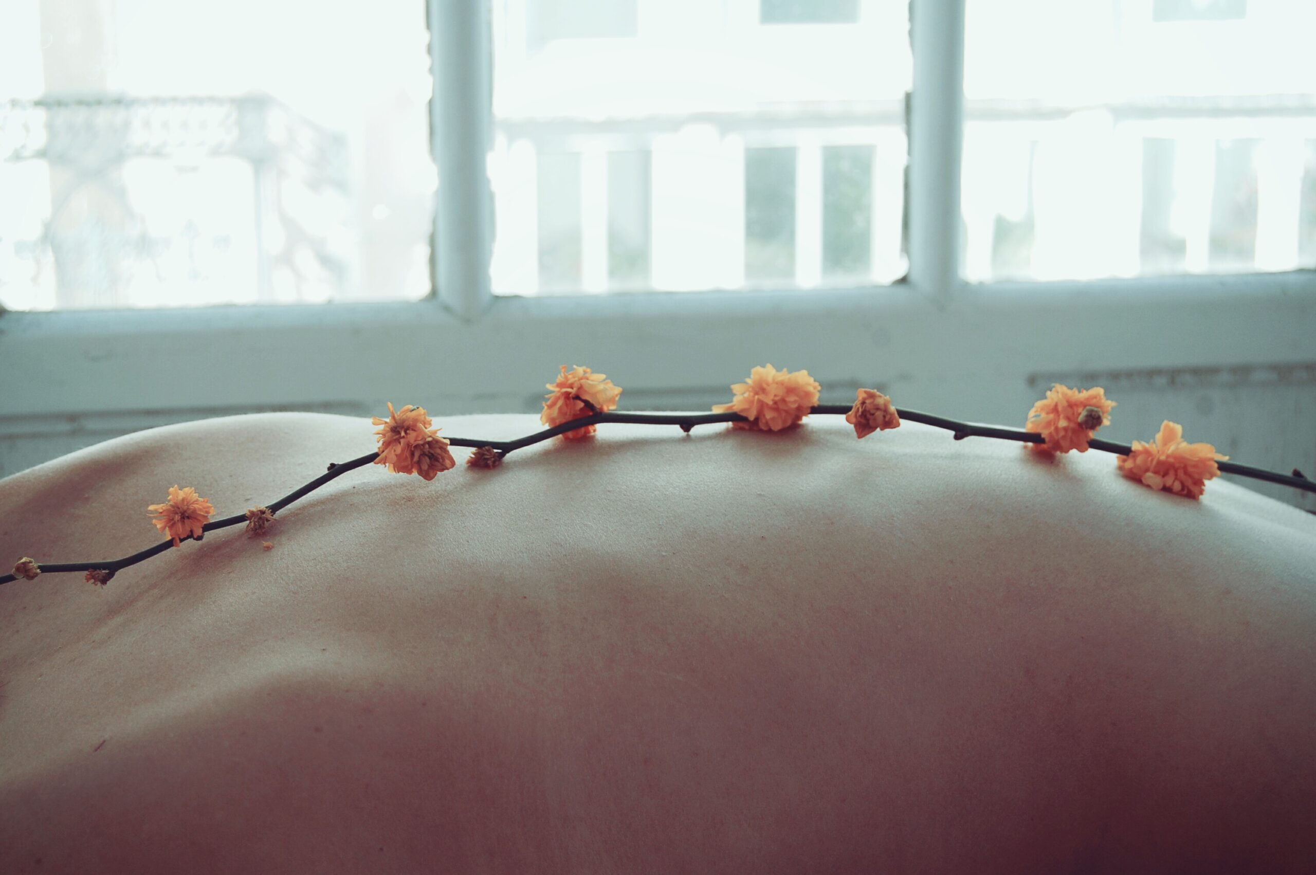 Dear body… dialogo con Sara Busi